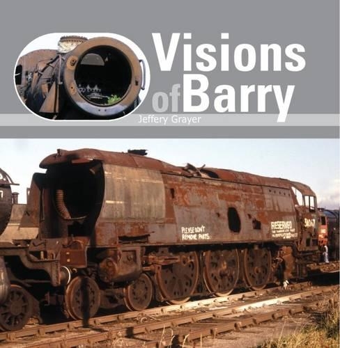 Бумажная книга «Visions of Barry», автор Джеффери Грейер - фото №1