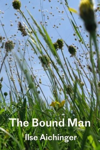 Бумажная книга «The Bound Man, and Other Stories», автор Илзе Айхингер - фото №1