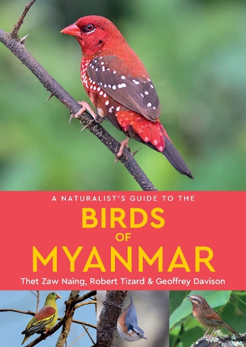 Бумажная книга «A Naturalist's Guide to the Birds of Myanmar», авторов Джеффри Дэвисон, Роберт Тизард, Тет Зав Наинг - фото №1