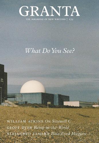 Бумажная книга «Granta 159: What Do You See?», автор Сигрид Раузинг - фото №1