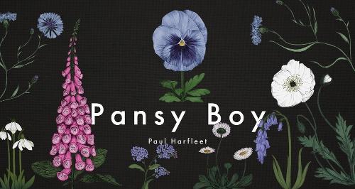 Бумажная книга «Pansy Boy», автор Пол Арфлит - фото №1