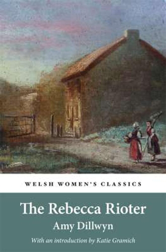 Паперова книга «The Rebecca Rioter», автор Емі Ділвін - фото №1