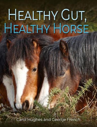 Паперова книга «Healthy Gut, Healthy Horse», авторів Керол Г'юз, Герт'є Френч - фото №1