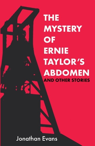 Бумажная книга «The Mystery Of Ernie Taylor's Abdomen And Other Stories», автор Джонатан Эванс - фото №1