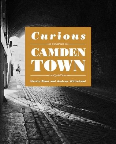 Паперова книга «Curious Camden Town», автор Мартін Плут - фото №1