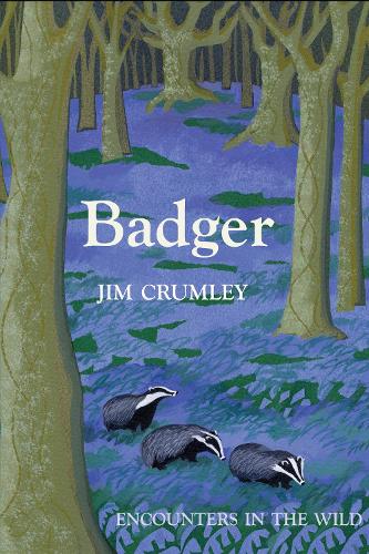 Бумажная книга «BADGER» - фото №1