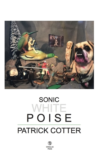 Паперова книга «Sonic White Poise», автор Патрік Коттер - фото №1