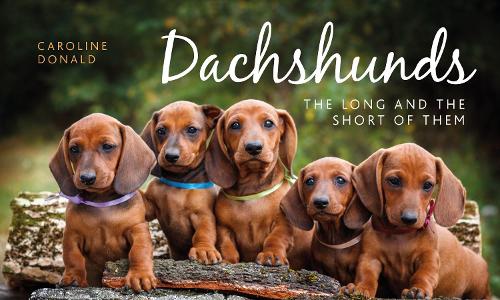 Паперова книга «Dachshunds: The Long and the Short of Them», автор Керолайн Дональд - фото №1