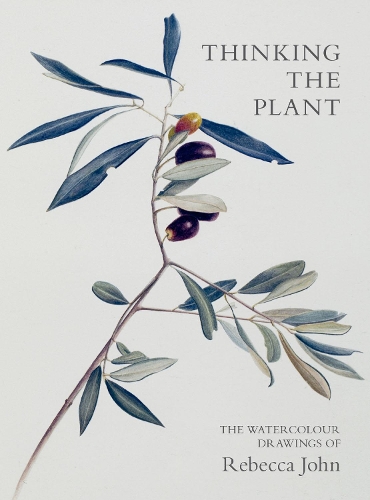 Бумажная книга «Thinking the Plant: The Watercolour Drawings of Rebecca John», автор Ребекка Джон - фото №1