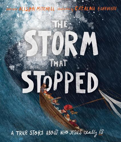 Бумажная книга «The Storm That Stopped Storybook: A true story about who Jesus really is», автор Элисон Митчелл - фото №1