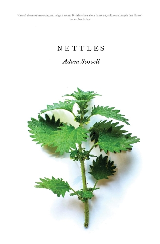 Бумажная книга «Nettles», автор Адам Сковелл - фото №1