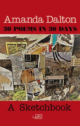 Бумажная книга «30 Poems in 30 Days», автор Аманда Далтон - фото №1