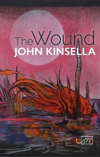 Паперова книга «The Wound», автор Джон Кінселла - фото №1