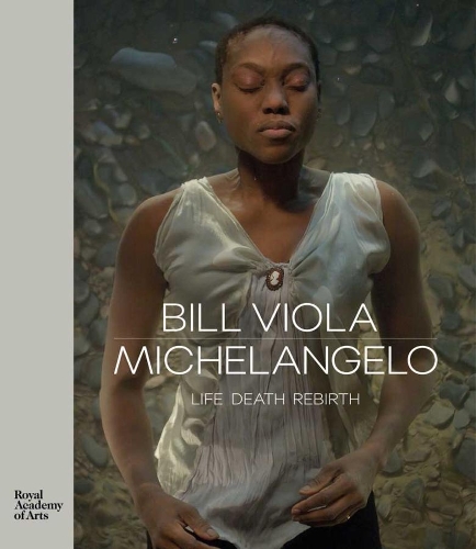 Паперова книга «Bill Viola / Michelangelo: Life Death Rebirth», авторів Кіра Перов, Мартін Клейтон - фото №1