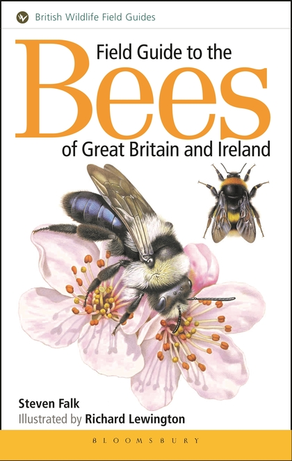 Паперова книга «Field Guide to the Bees of Great Britain and Ireland» - фото №1