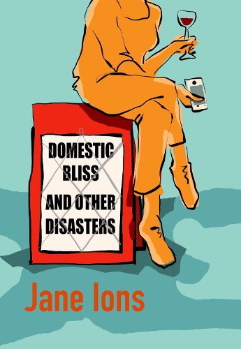 Бумажная книга «Domestic Bliss and Other Disasters: Short listed for the 2021 Comedy Women In Print Prize», автор Джейн Ионс - фото №1