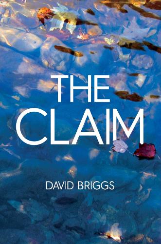 Бумажная книга «The Claim», автор Дэвид Бриггс - фото №1