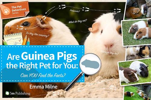Бумажная книга «Are Guinea Pigs the Right Pet for You: Can You Find the Facts?», автор Эмма Милн - фото №1