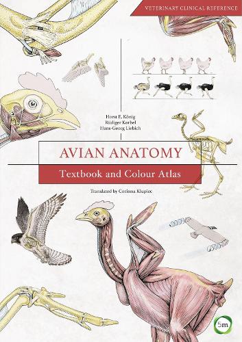 Бумажная книга «Avian Anatomy 2nd Edition: Textbook and Colour Atlas», автор Хорст Эрих Кениг - фото №1