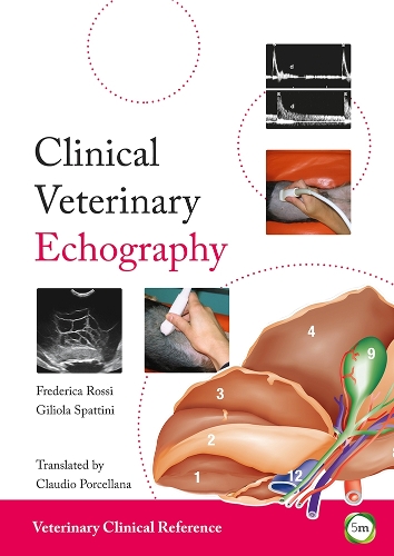 Паперова книга «Clinical Veterinary Echography», автор Франческа Россі - фото №1