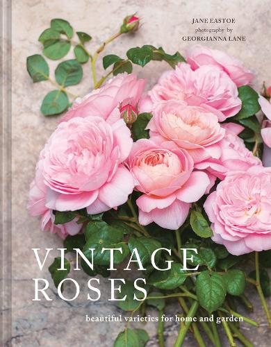 Паперова книга «Vintage Roses: Beautiful varieties for home and garden», автор Джейн Істоу - фото №1