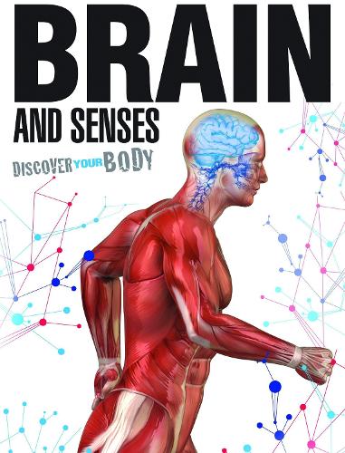 Бумажная книга «Brain and Senses» - фото №1
