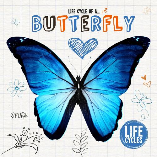 Бумажная книга «Butterfly», автор Грейс Джонс - фото №1
