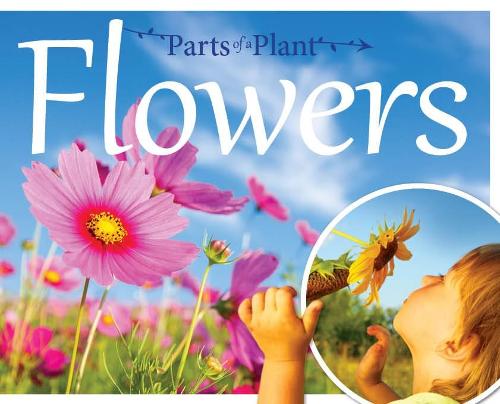 Бумажная книга «Flowers», автор Джемма МакМаллен - фото №1