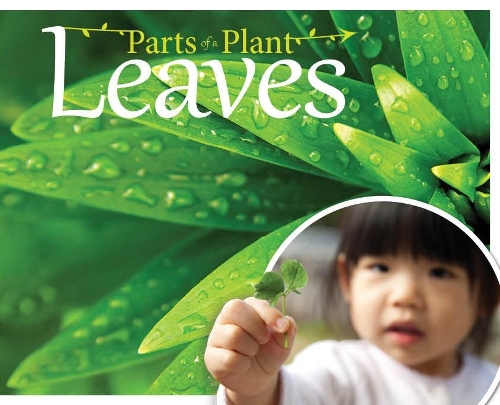 Паперова книга «Leaves», автор Джемма МакМаллен - фото №1