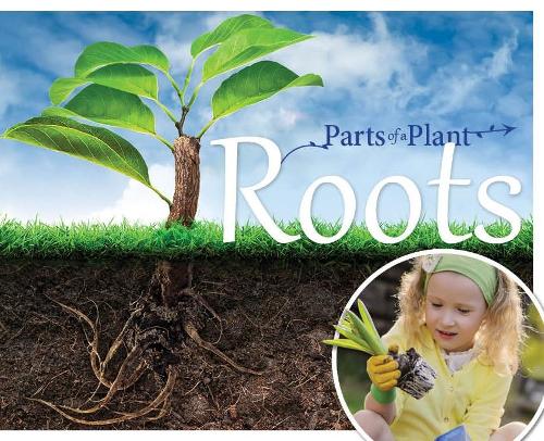 Паперова книга «Roots», автор Джемма МакМаллен - фото №1