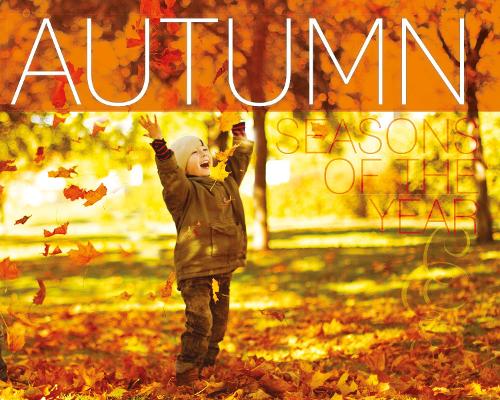 Паперова книга «Autumn», автор Герріет Брандл - фото №1