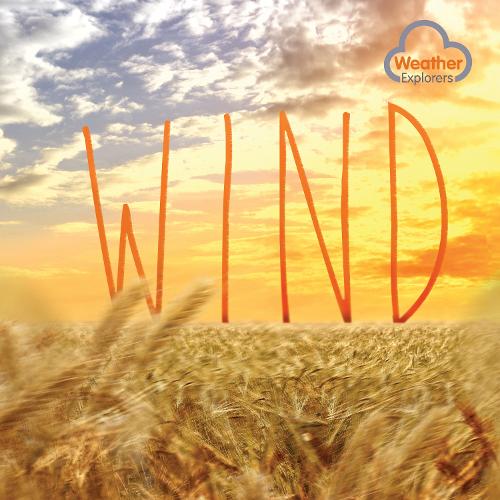 Бумажная книга «Wind», автор Харриет Брандл - фото №1