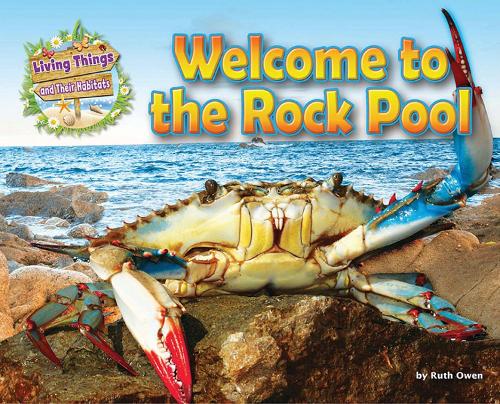 Паперова книга «Welcome to the Rock Pool», автор Рут Оуен - фото №1