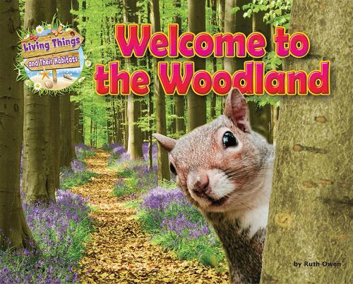 Паперова книга «Welcome to the Woodland», автор Рут Оуен - фото №1