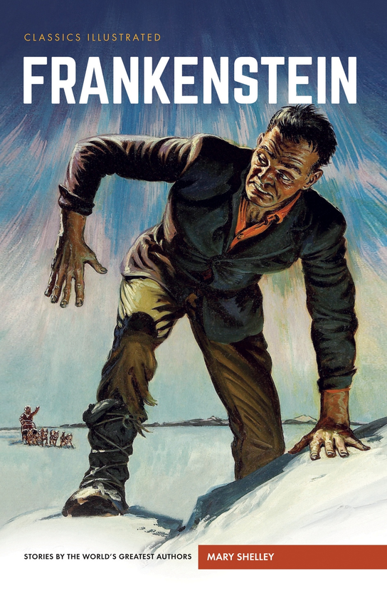 Бумажная книга «Frankenstein» - фото №1