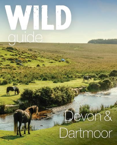Бумажная книга «Wild Guide Devon & Dartmoor: Mini adventures, secret places & local food», автор Дэниел Старт - фото №1