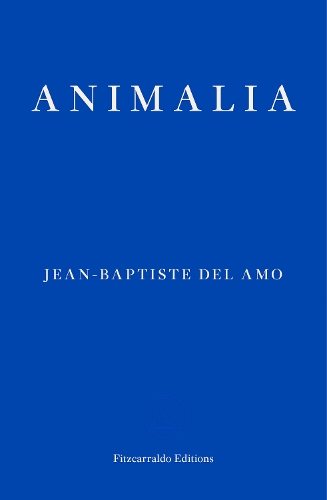 Бумажная книга «Animalia», автор Жан-Батист Дель Амо - фото №1