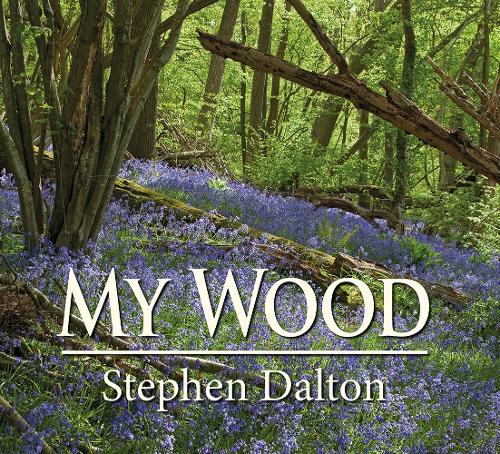 Бумажная книга «My Wood», автор Стивен Далтон - фото №1
