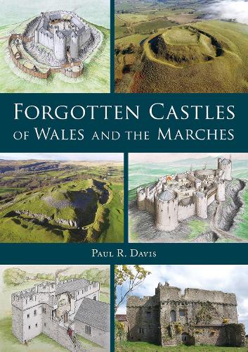 Бумажная книга «Forgotten Castles of Wales and the Marches», автор Пол Р. Дэвис - фото №1