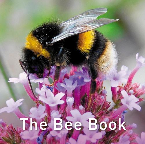 Паперова книга «Nature Book Series, The: The Bee Book», автор Джо Бірн - фото №1
