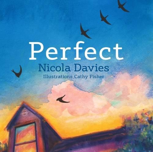 Паперова книга «Perfect», автор Никола Дэвис - фото №1