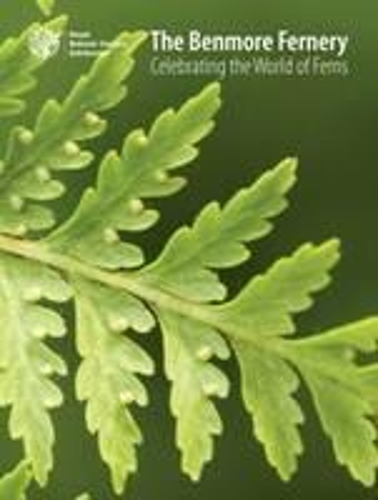 Бумажная книга «The Benmore Fernery: Celebrating the world of Ferns», автор Мэри Гибби - фото №1