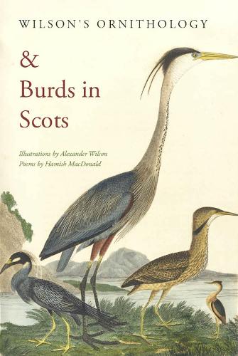 Бумажная книга «Wilson's Ornithology and Burds in Scots», автор Хэмиш Макдональд - фото №1