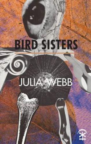 Бумажная книга «Bird Sisters», автор Джулия Вебб - фото №1