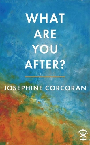 Бумажная книга «What Are You After?», автор Джозефина Коркоран - фото №1
