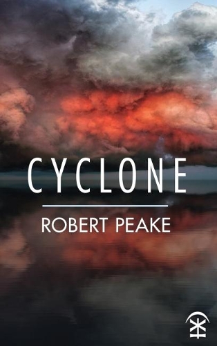 Бумажная книга «Cyclone», автор Роберт Пик - фото №1
