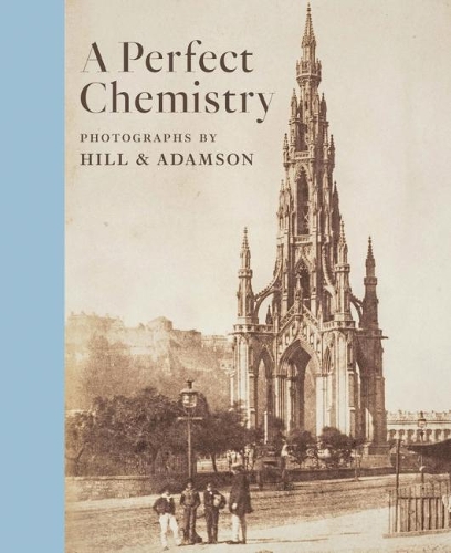 Бумажная книга «Perfect Chemistry», автор Энн М. Лайден - фото №1