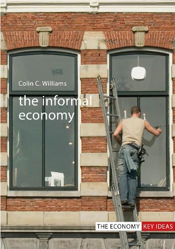 Бумажная книга «The Informal Economy», автор Колин К. Уильямс - фото №1