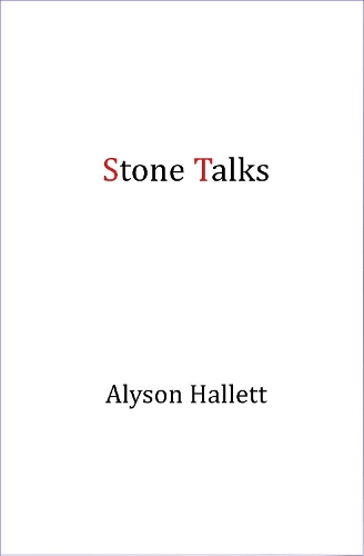 Паперова книга «Stone Talks», автор Елісон Галлетт - фото №1