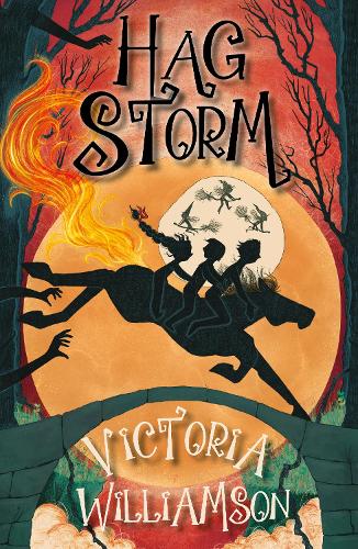 Паперова книга «Hag Storm», автор Вікторія Вільямсон - фото №1